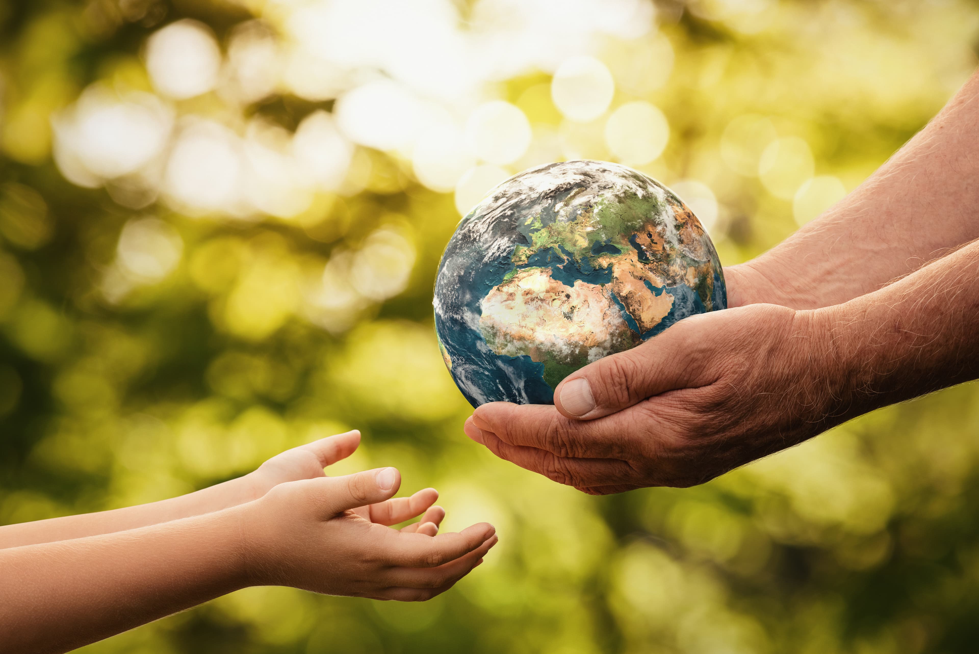 BUTTR sustainable paper production
